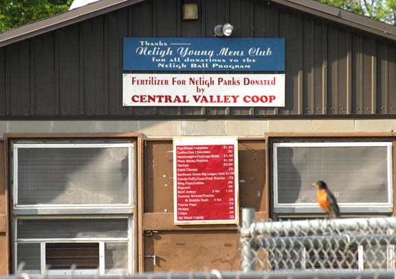 concession stand Neligh Nebraska